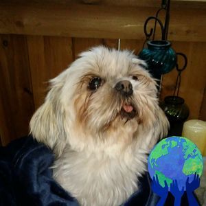 Meet your Posher, Kathy